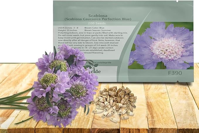 Outsidepride Perfection Blue Scabiosa Seeds - 200 Pcs Perennial Pincushion Flower Seeds That Attract Pollinators, Upright & Neat Growth Habit for Small Gardens, Borders, Containers, & Xeriscaping
