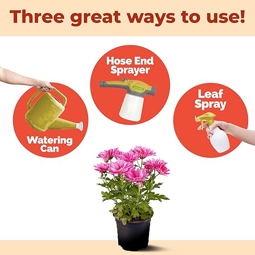Mum Fertilizer, Complete Liquid Mum Plant Food for All Chrysanthemums, 8 oz (250mL)