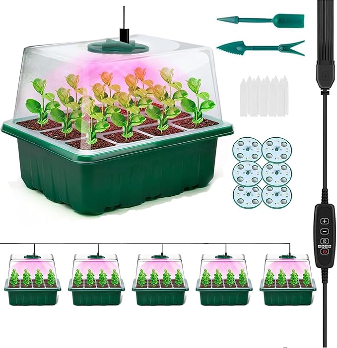 Starter Kit Tray with Grow Light, Adjustable Humidity Drainage, 6Pack Germination with Transparent Domes for Vegetables, Succulent Plant seedlings,Starting Greenhouse[Energy Efficiency Class A+++]