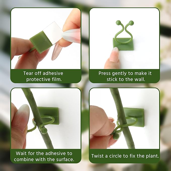 Beurio Plant Clips for Climbing Plants, 30 Pcs 3 Sizes Set Vine Wall Clips, Self Adhesive Durable Plastic Ivy and Pothos Support Holders, Indoor Greenery Arrangement, Wall Decor, Cable Management