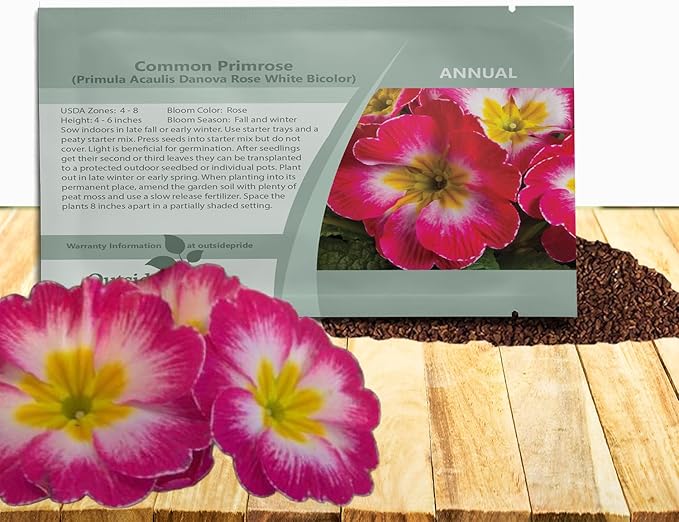 Outsidepride Danova Rose White Common Primrose Seeds - 50 Pcs Annual, Hardy, Easy to Grow & Low Maintenance Flower Seeds for Planting Vibrant Soft Blooms, for Containers, Borders & Erosion Control
