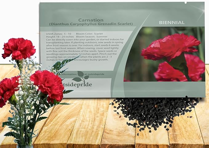 Outsidepride Scarlet Carnation Seeds - 1000 Pcs Biennial, Easy to Grow Flower Seeds for Planting with Fragrant Blooms, Ideal for Pollinators, Cutting Gardens, Bouquets, & Floral Arrangements