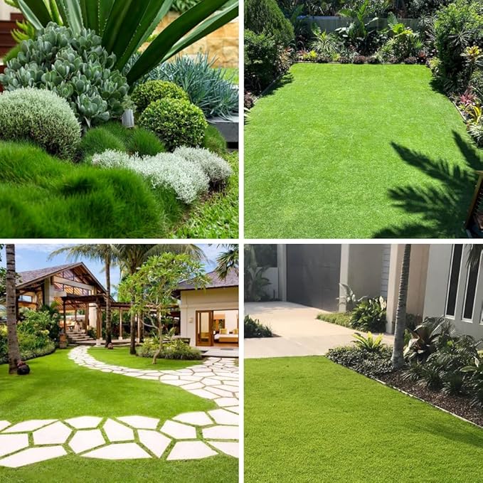 Zoysia Grass Seeds for Lawn, 20000 Seeds Count, Zoysia Seeds Lawngrass to Grow Backyard Home Garden