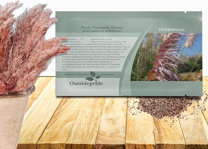 Outsidepride Pink Pampas Grass Seeds – 2,000 Pcs. Perennial, Drought-Tolerant Ornamental Grass for Large Garden Borders, Privacy Landscaping, Xeriscaping, and Low-Maintenance Outdoor Spaces