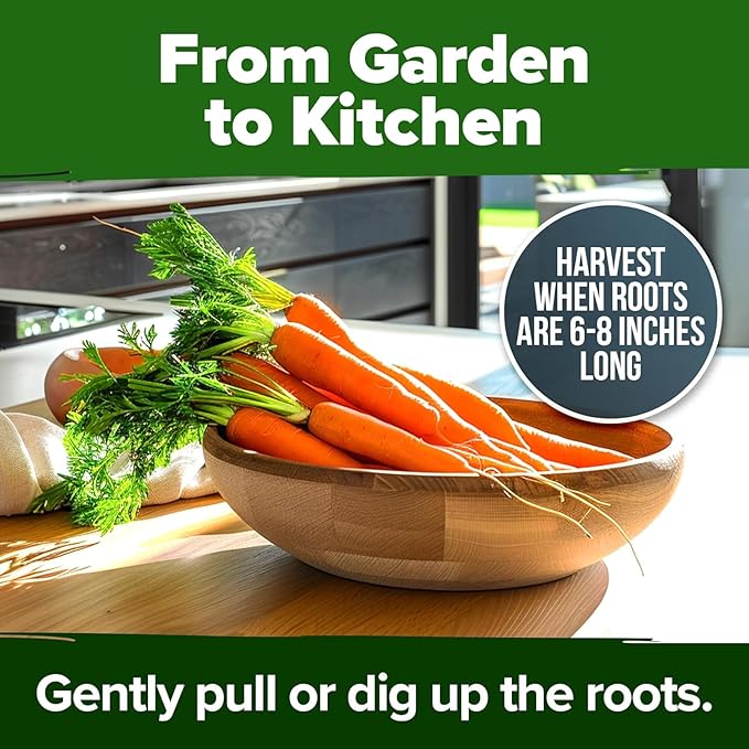 HOME GROWN 𝗨𝗦𝗔 𝗣𝗥𝗘𝗠𝗜𝗨𝗠 𝗢𝗥𝗚𝗔𝗡𝗜𝗖 Watermelon Vegetable Seeds 15 & Cherry Belle Radish 800 & Tendersweet Carrots 3000