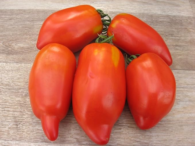 NIKA SEEDS - Seeds Vegetable Tomato Pepper-Shaped - 25 Seeds