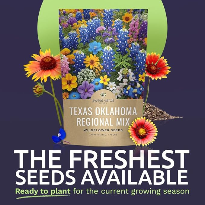 Texas Oklahoma Regional Mix Seeds for Planting - Bulk 1 Pound Bag - Over 240,000 Native Seeds - Open Pollinated and Non GMO