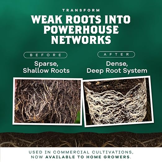 DYNOMYCO Granular Mycorrhizal Fungi Inoculant, 50g/1.76oz – Boosts Root Growth, Yields & Nutrient Uptake – 900 Propagules/g, Concentrated Granules, & OMRI Listed – Biofertilizer for Plant Growth