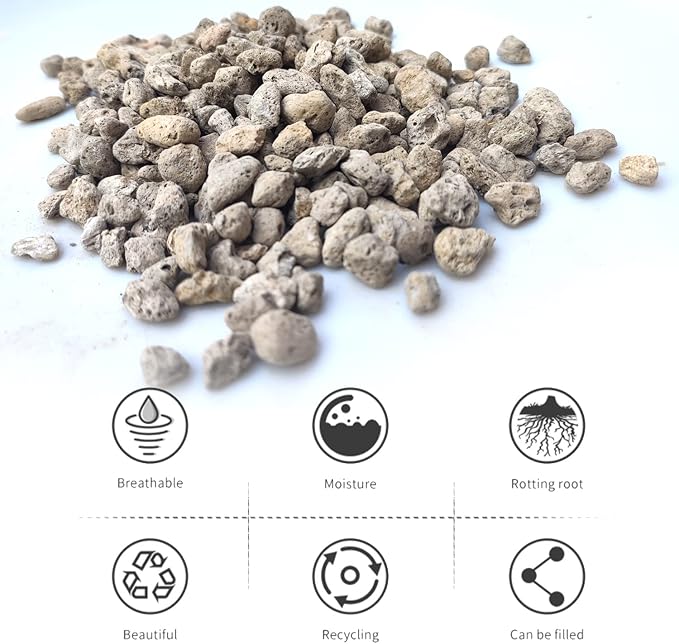 Horticultural Pumice for Plants Professional Sifted (8QT, 1/4 inch)