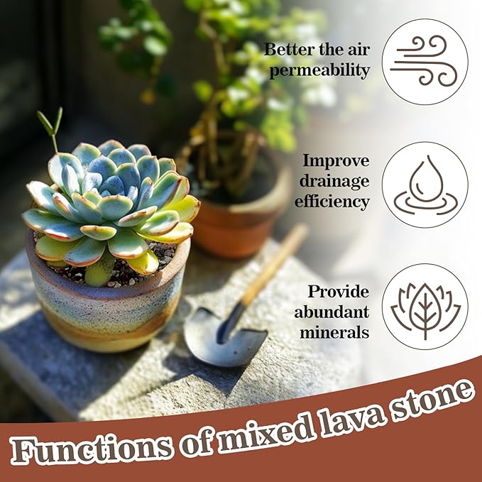 Sukh 2LBS Horticultural Succulent Rocks Bonsai Mix Succulent Potting Mix Lava Rocks Cactus Soil Potting Mix Amendment.