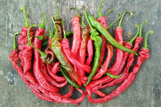 40+ Seeds Hot Chili Pepper Fire - Vegetable Red