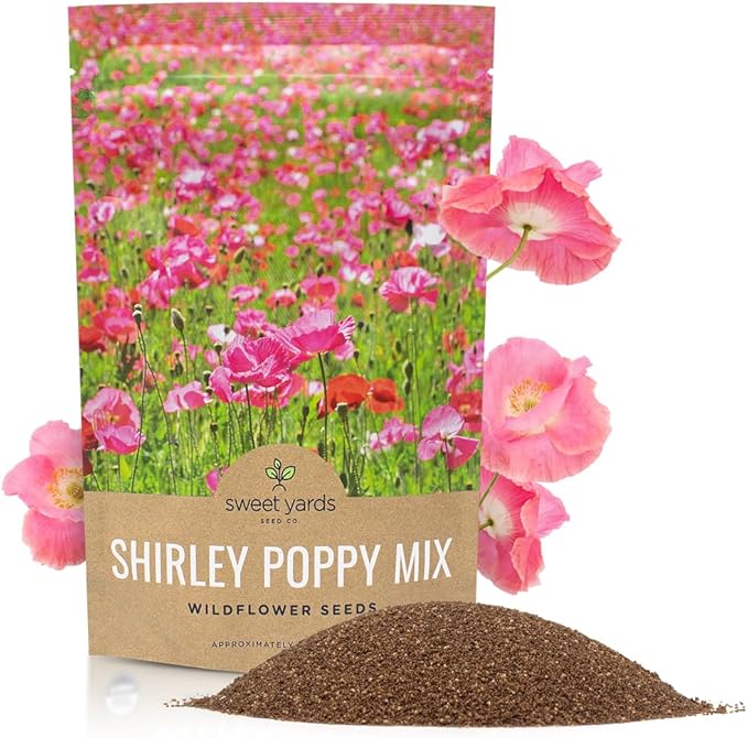 Shirley Poppy Seeds – Mixed Colors – Bulk Quarter Pound Bag – Over 800,000 Open Pollinated Non-GMO Wildflower Seeds – Papaver rhoeas