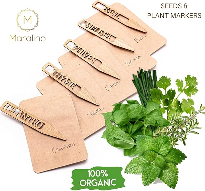 5 Herb Garden Kit Indoor - Kitchen Windowsill Self Watering Herb Garden Kit Indoor Starter Set Grow Organic Seeds Basil, Cilantro, Chives, Thyme, Lemon Balm (Melissa)