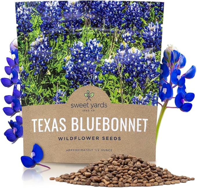 Texas Bluebonnet Wildflower Seeds - Bulk 1/2 Ounce Packet - Over 500 Native Seeds - Texas State Flower!