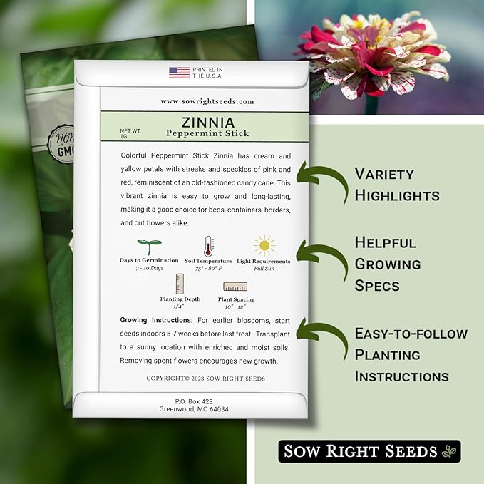 Sow Right Seeds - Peppermint Stick Zinnia Seeds for Planting - Non-GMO Heirloom Packet to Plant & Grow an Outdoor Home Flower Garden - Beautiful, Giant Double Blooms to Cut and Come Again - Annual (3)