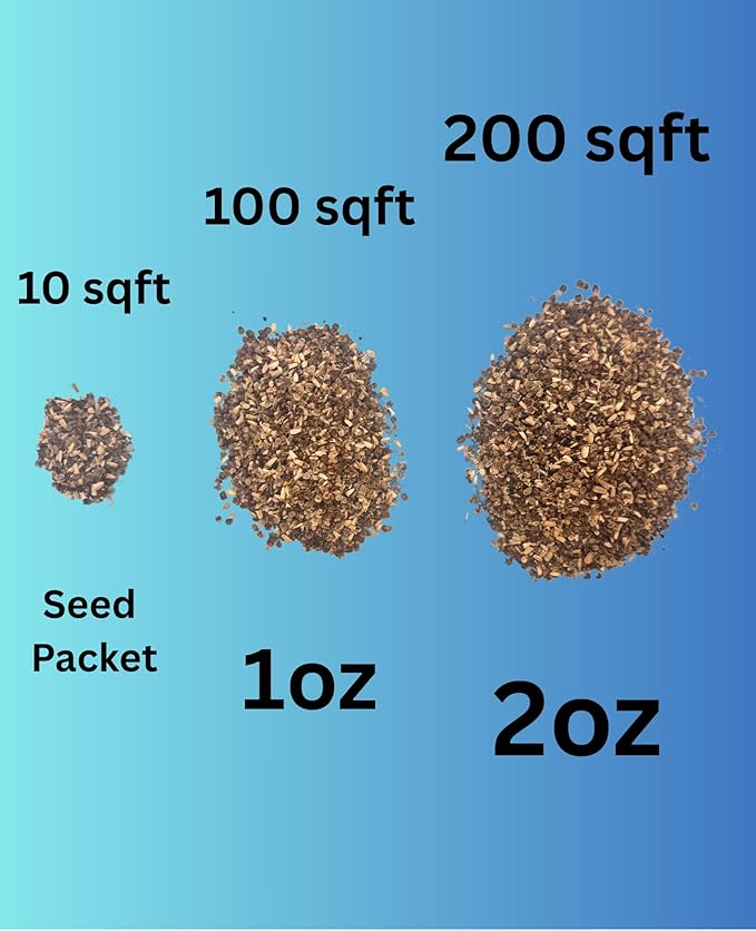 All Perennial Wildflower Seed Mix (5-Seed Packets) – Long-Blooming Flowers for Pollinators, Hardy Perennials for Gardens, Meadows & Landscapes