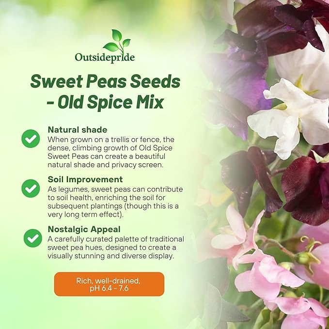 Outsidepride Old Spice Mix Sweet Pea Seeds - 400 Pcs Annual, Easy to Grow, Vine Seeds for Planting Fragrant, Long-Lasting Flowers with Free-Flowering Habit & Tall Size for Vertical Gardens