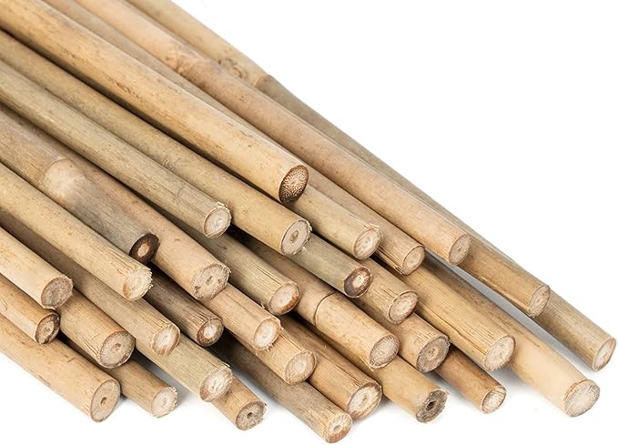 Plant Stakes Natural Garden Bamboo Sticks for Indoor and Outdoor Plants, GAGINANG 20pcs Plant Support Stakes for Tomatoes, Beans, Potted Plants - 16 inches