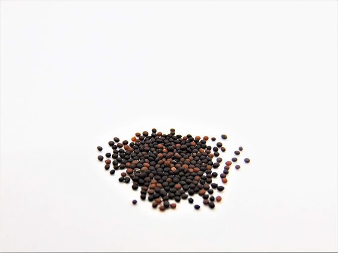 Joyous Jiffy "Herb" Collection #2-(2) Round 3x3 Jiffy pots,(2)Soil Peat Pellets(1)25+ Cilantro Seed pk(1)25+ Italian Large Leaf Basil Seed pk(1)25+ Italian Dk Green Parsley seed pk(1)25+ Thyme Seed pk