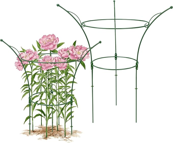 2 Pack Peony Cages and Supports Cages 13" D x 22.8" H Sturdy Metal Support Frame for Peonies & Roses Natural Bouquet Shape Garden Stakes for Outdoor Plants Flowers Ornamental (Green)