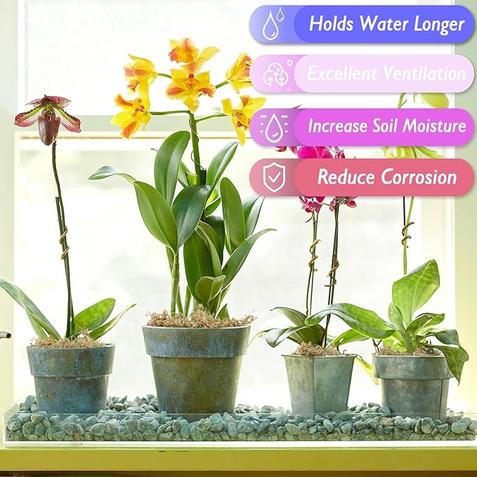 Halatool 3.6OZ Premium Sphagnum Moss for Indoor Plants, 4 QT Orchid Moss Potting Mix - Natural Sphagnum Moss for Succulents, Carnivorous(Sarracenia), Monstera, Terrarium Substrate & Reptile Habitats