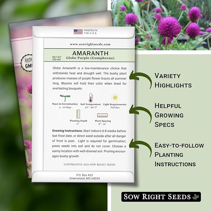 Sow Right Seeds - Purple Globe Amaranth Seeds for Planting - Non-GMO Heirloom Packet with Instructions to Plant & Grow an Outdoor Home Flower Garden - Gomphrena Pompom Flowers - Use Dried for Tea (2)