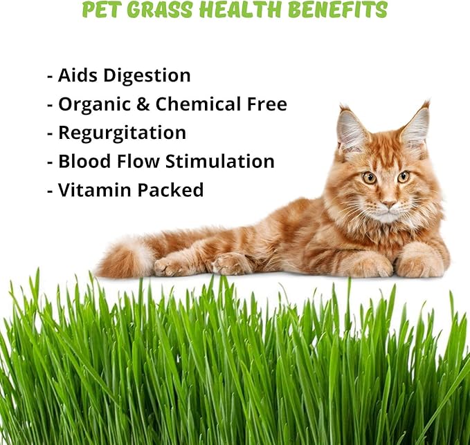 Organic Cat Grass Seeds Kit - Decorative Reclaimed Barnwood Style Organic Wheatgrass Seeds Planter - Aged Brown - Hairball Remedy for Cats, Healthy Pet Grass Supplement & Wheatgrass Growing Kit