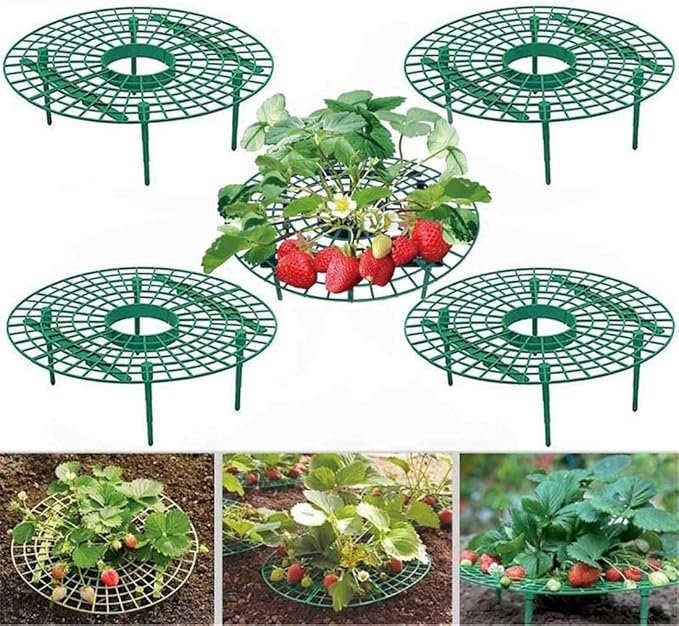 10 Pack Strawberry Supports Keeping Fruit Elevated & Balcony Planting Rack Fruit Support Plant Flower Climbing Vine Pillar Gardening Stand