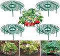 10 Pack Strawberry Supports Keeping Fruit Elevated & Balcony Planting Rack Fruit Support Plant Flower Climbing Vine Pillar Gardening Stand