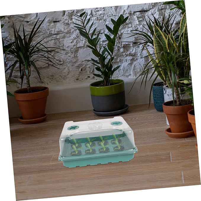 BESTonZON 1Set Plant Germination Box Durable Indoor Garden Propagating Trays with Design for Home Gardening Seed Starting Greenhouse Accessory