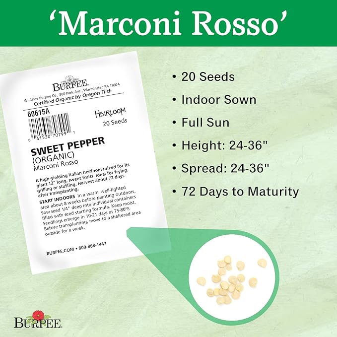 Burpee Marconi Rosso (Organic) Sweet Pepper Seeds 20 seeds