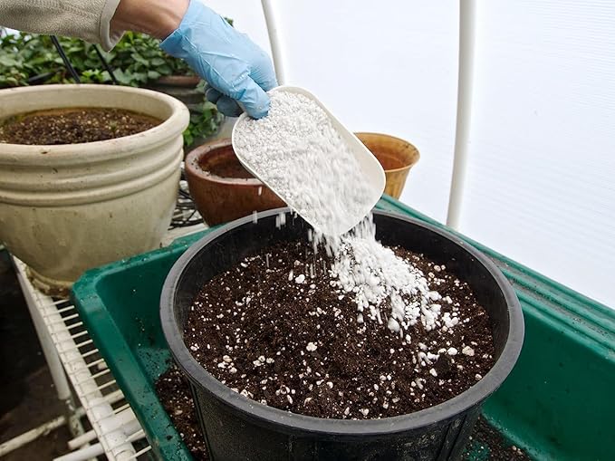 Palmetto Vermiculite Company 4 Cubic Foot Planting Soil Additive (Perlite)