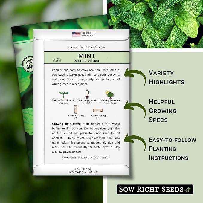 Sow Right Seeds - Mint Seeds for Planting - Non GMO Heirloom Perennial Herb for Indoor or Outdoor Planting - Ideal for Kitchen Herb Garden - Perennial Growing Plants - Packet with Instructions (1)