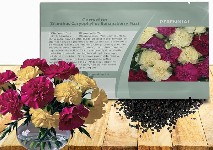 Outsidepride Bananaberry Fizz Carnation Seeds - 100 Pcs Perennial, Easy to Grow Flower Seeds for Planting with Fragrant Blooms, Ideal for Pollinators, Cutting Gardens, Bouquets, & Floral Arrangements