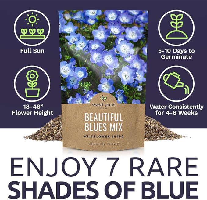 All Blues Wildflower Seeds - Bulk 1/4 Pound Bag - Over 30,000 PureAnnual and Perennial Flower Seeds