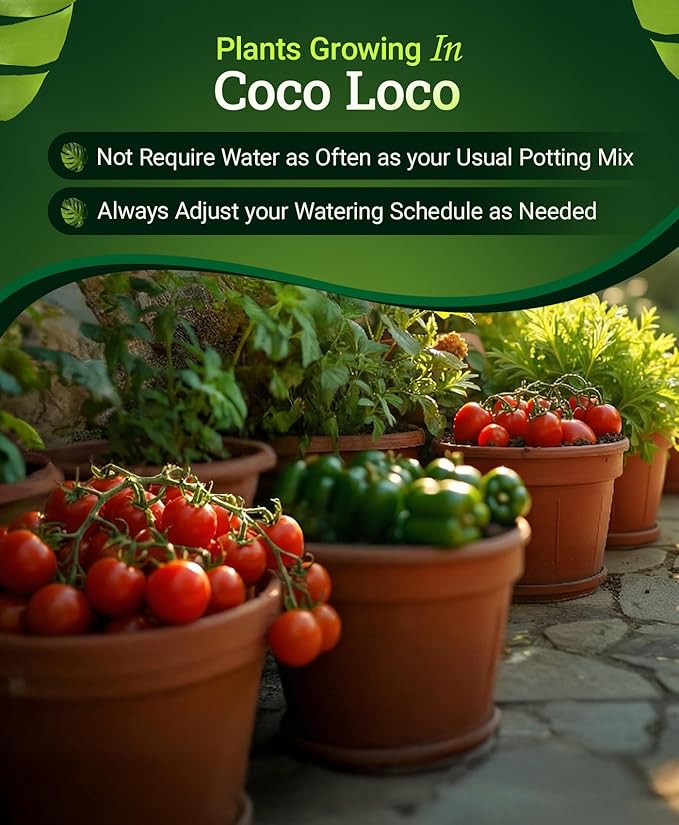 FoxFarm BushDoctor Coco Loco Soil Potting Mix, Triple-Washed for Reduced Salt, Retains Water, Includes Bat Guano & Earthworm Castings - Ideal for All Gardens 12 Quart (2 Pack)