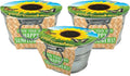 Unique Gardener Grow Your Own Mini Sunflowers Plant Seeds 3-Pack, DIY Indoor Succulents and Live Plants for Home or Garden Planting, Pail of Sunshine