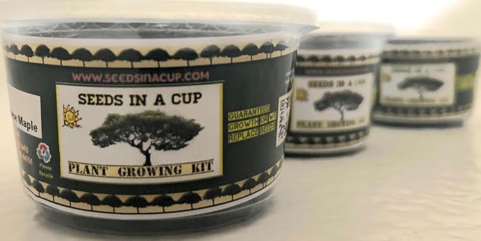 Seeds In A Cup: Herb Growing Kit | Indoor Herb Garden Starter | Premium Seeds and Soil | 3 Pack of Herbs | Multiple Combinations Available | (Mediterranean Trio: Rosemary Thyme Oregano)