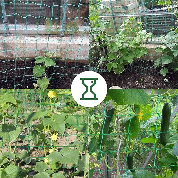 Trellis Netting, PDGROW Climbing Plant Support Net Garden Pea Bean Neting, Heavy-Duty PE Trellis Net for Cucumber, Tomato, Vegetables, Fruits, Sweet Pea Plants (6.6' x 8.2'Ft)