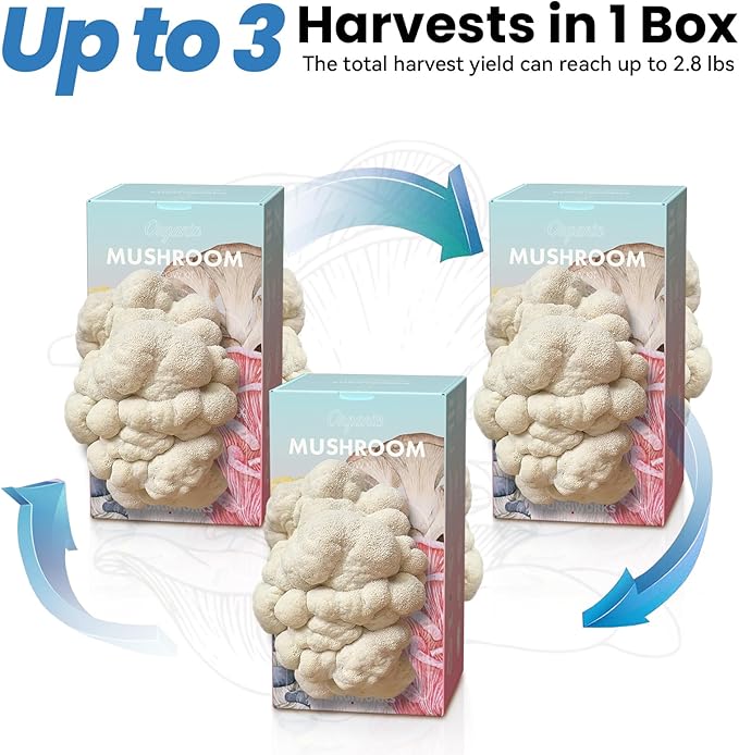 USA Organic 4lbs Lions Mane Mushroom Growing Kit, Double-Side Mushroom Grow Kit Indoor, Harvest Gourmet Mushrooms in 10 Days, Top Gardening Gift, Holiday Gift