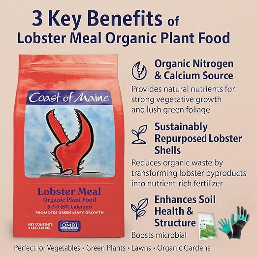 Coast of Maine LM6000 Lobster Meal Plant Food 4 LB – Natural Organic Fertilizer with Calcium for Soil Health with My Garden Pool Soil Test Strips & Gardening Claw Gloves