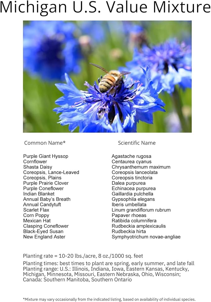 Michigan Bulk Perennial Wildflower Seed Mix 1lb Covers 2,000sq-ft - Attract Pollinators, Multi-Color Blooms - Midwest US Species Plant in Spring/Fall - Earth-Friendly Packaging (1 Pound)