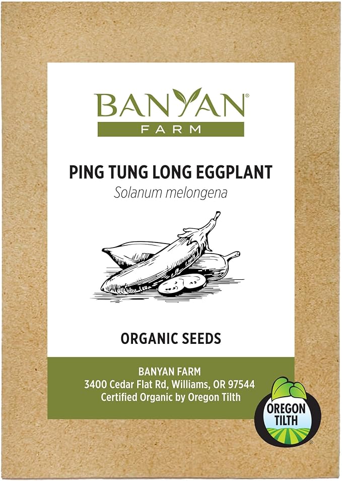 Banyan Botanicals Organic Eggplant Seeds – Ping Tung Long (Solanum Melongena) Seeds – Asian Eggplant – 30 Count – Open Pollinated Non-GMO
