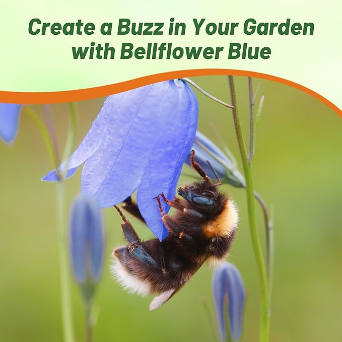 Outsidepride Carpatica Blue Bellflower Seeds for Planting - 5000 Pcs Perennial Mat-Forming Flower Seeds with Bell Shaped Blooms & Low Growth Habit for Edging Pollinator Gardens, Containers, & Borders