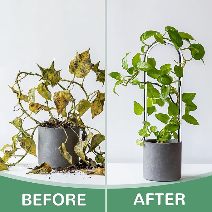 2 Pack U-Shaped Clear Acrylic Trellis for Hoya Trellis, Small Plant Trelli for Indoor Potted Plants Climbing Plant Trelli with 20 Straps Garden Accessories for Hoya, Pothos