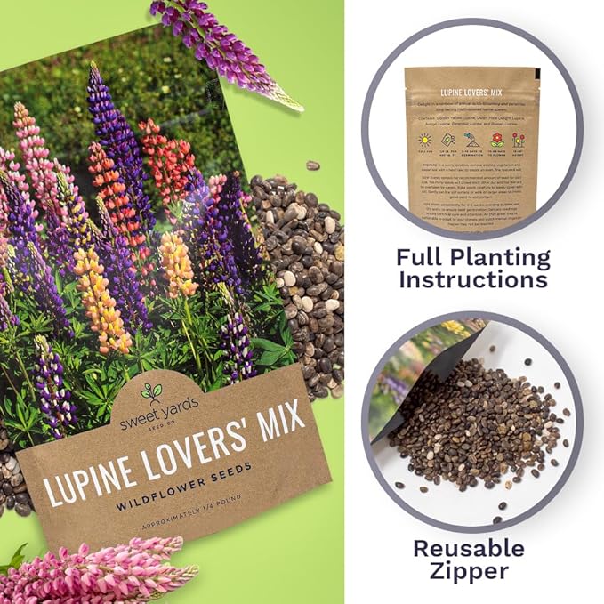 Bulk Lupine Mix Wildflower Seeds 1/4 Pound Bag - Over 4,500 Untreated Annual and Perennial Mixed Lupine Flower Seeds