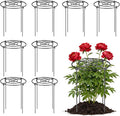 Peony Cages and Supports 8 Pack, 12x16 Inch Heavy Duty Metal Plant Cage for Outdoor Plants – Grow Through Flower Support Rings for Peonies, Roses, Tomatoes & Hydrangeas