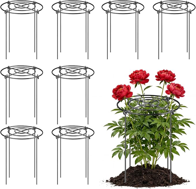 Peony Cages and Supports 8 Pack, 12x16 Inch Heavy Duty Metal Plant Cage for Outdoor Plants – Grow Through Flower Support Rings for Peonies, Roses, Tomatoes & Hydrangeas