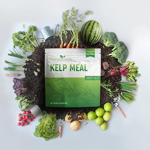 Kelp Meal 1-0-2 Natural Plant Food, Boost Plant Health and Yield! (2lb)
