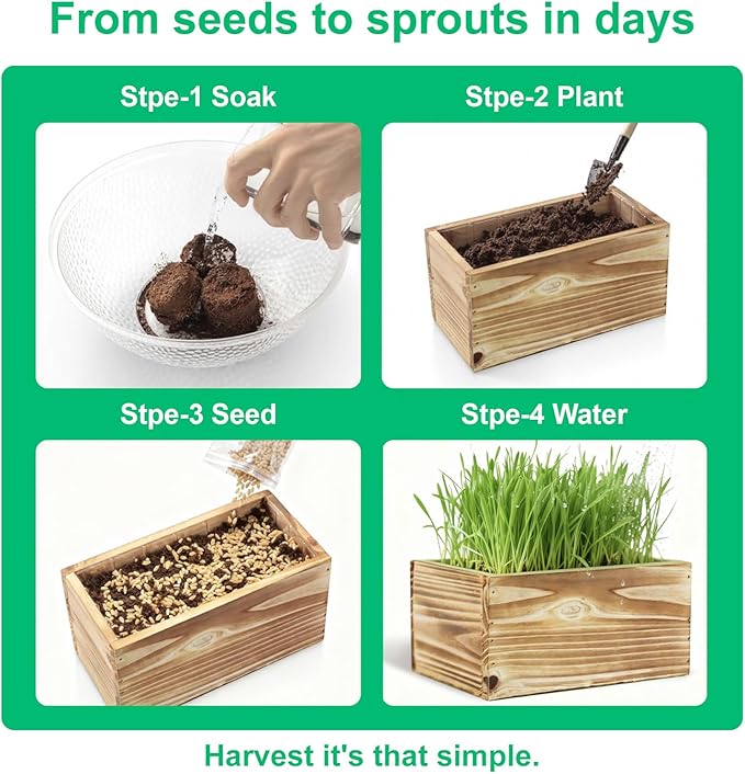 Cat Grass Kit for Indoor Cats, Complete with Rustic Wood Planter, Organic Wheat Grass Seed and Soil, Prevent Hairballs and Aid Digestion, Ideal Birthday Christmas Gift for Cat Lovers